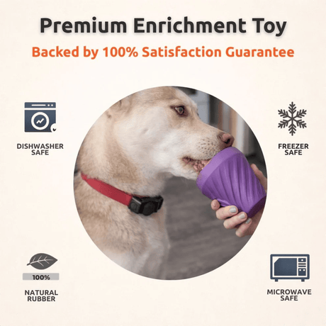 FreezCone Enrichment Toy For Pets