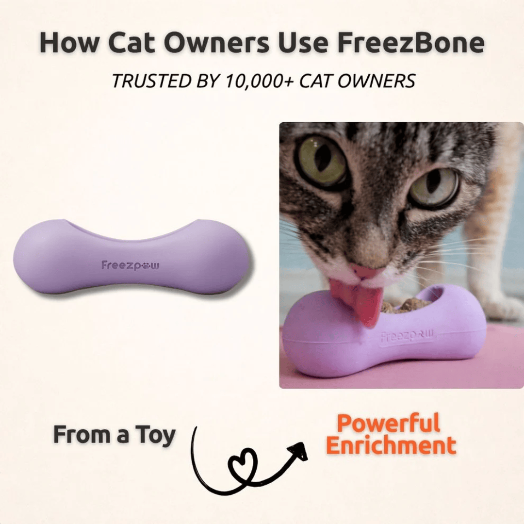 FreezWhisk Enrichment Toy For Pets