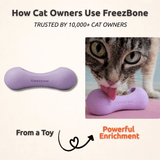FreezWhisk Enrichment Toy For Pets