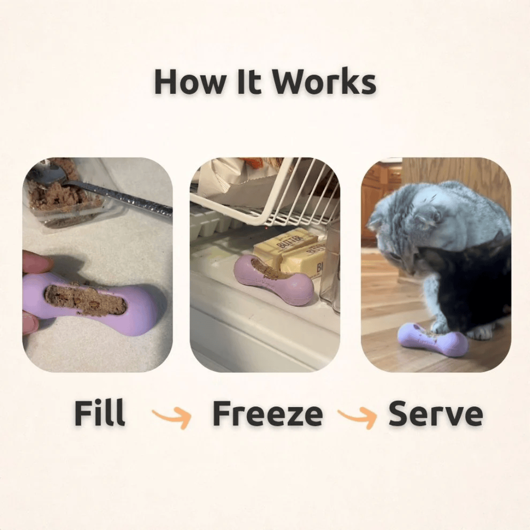 FreezWhisk Enrichment Toy For Pets