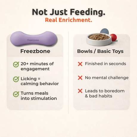 FreezWhisk Enrichment Toy For Pets