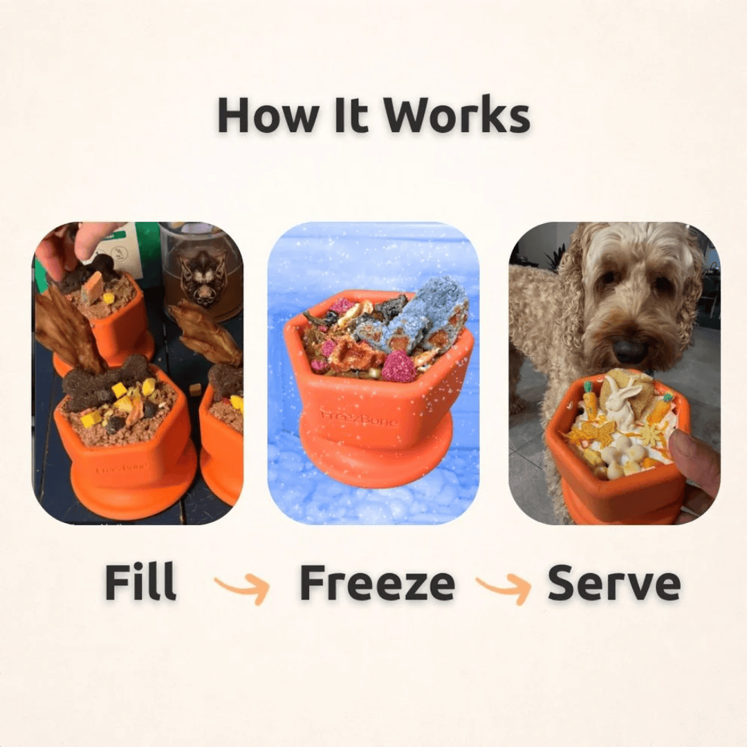 FreezCup Enrichment Toy For Pets