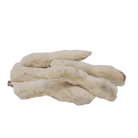 Stack of dried white furry rabbit feet on a white background