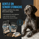 Kudo Adriatic Fish Cold Pressed Senior Food