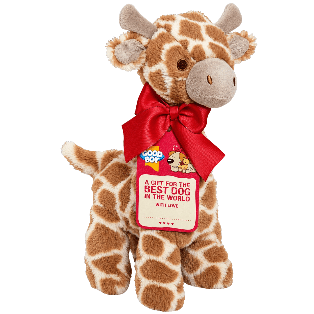 Good Boy Gift Giraffe 30cm