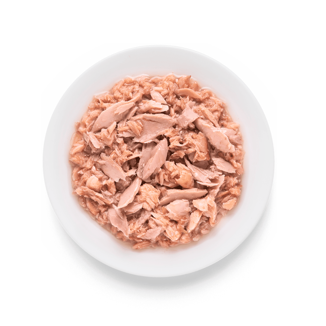 Grandorf Tuna and Salmon Wet Food for Cats