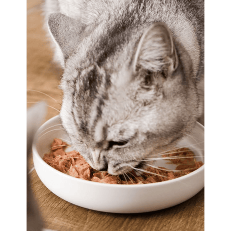 Grandorf Tuna and Salmon Wet Food for Cats