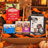 The Halloween Bundle