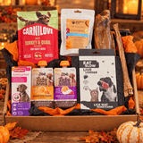 The Halloween Bundle