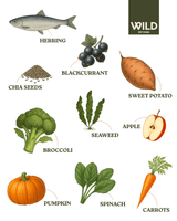 Wild 80:20 Herring Cold Pressed Dog Food