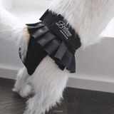 Finnero Female Dog Heat & Hygiene Pants