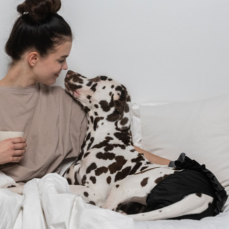 Finnero Female Dog Heat & Hygiene Pants