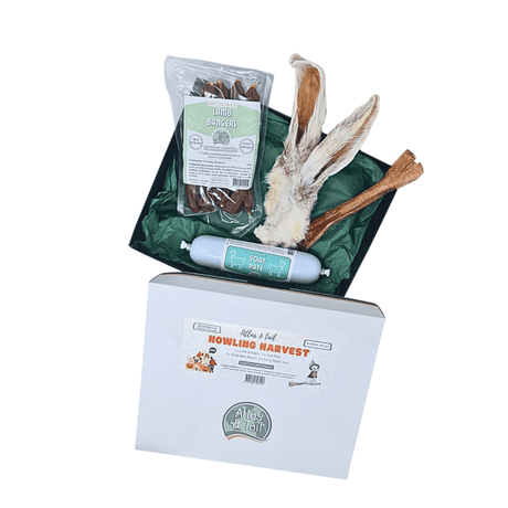 Howling Harvest Treat Box
