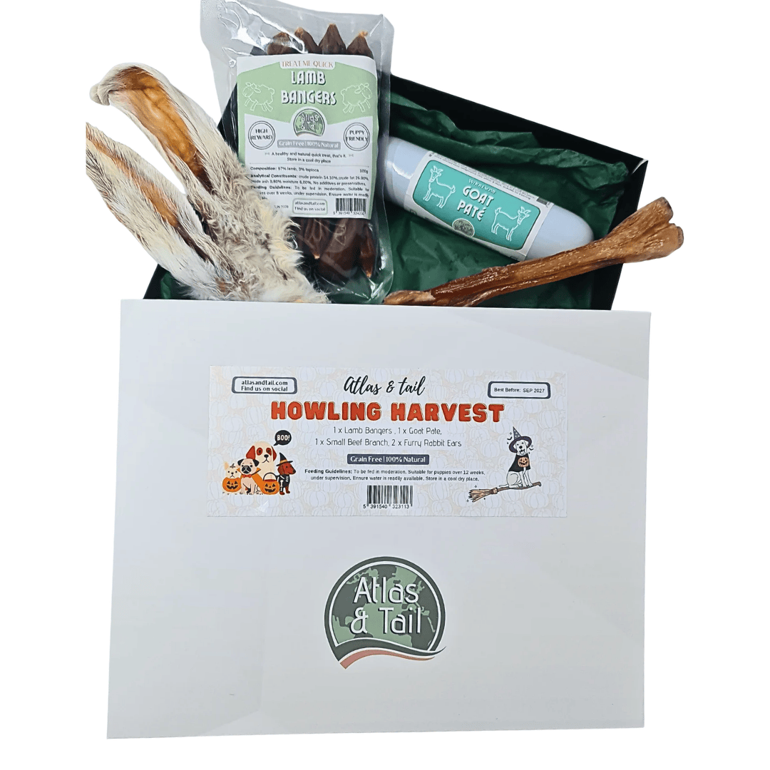 Howling Harvest Treat Box