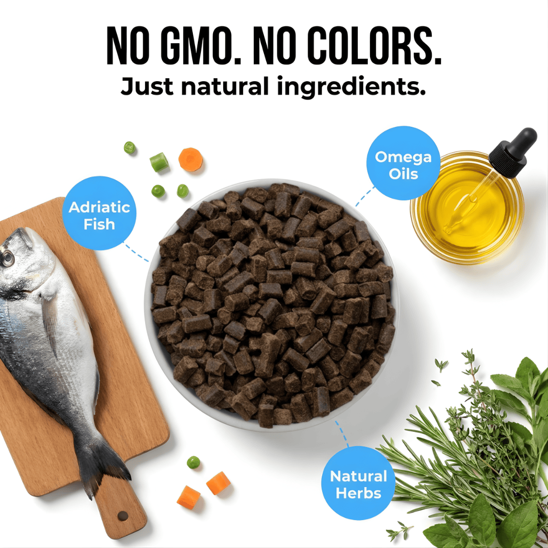 Kudo Adriatic Fish Cold Pressed Senior Food