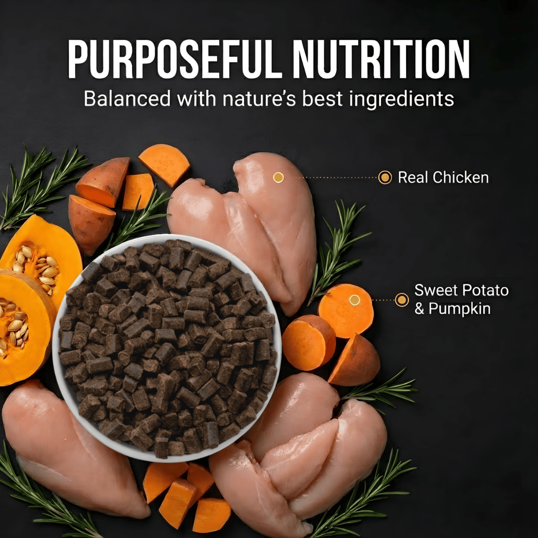Kudo cold pressed food with ingredients like chicken, sweet potato, and pumpkin on a black background.