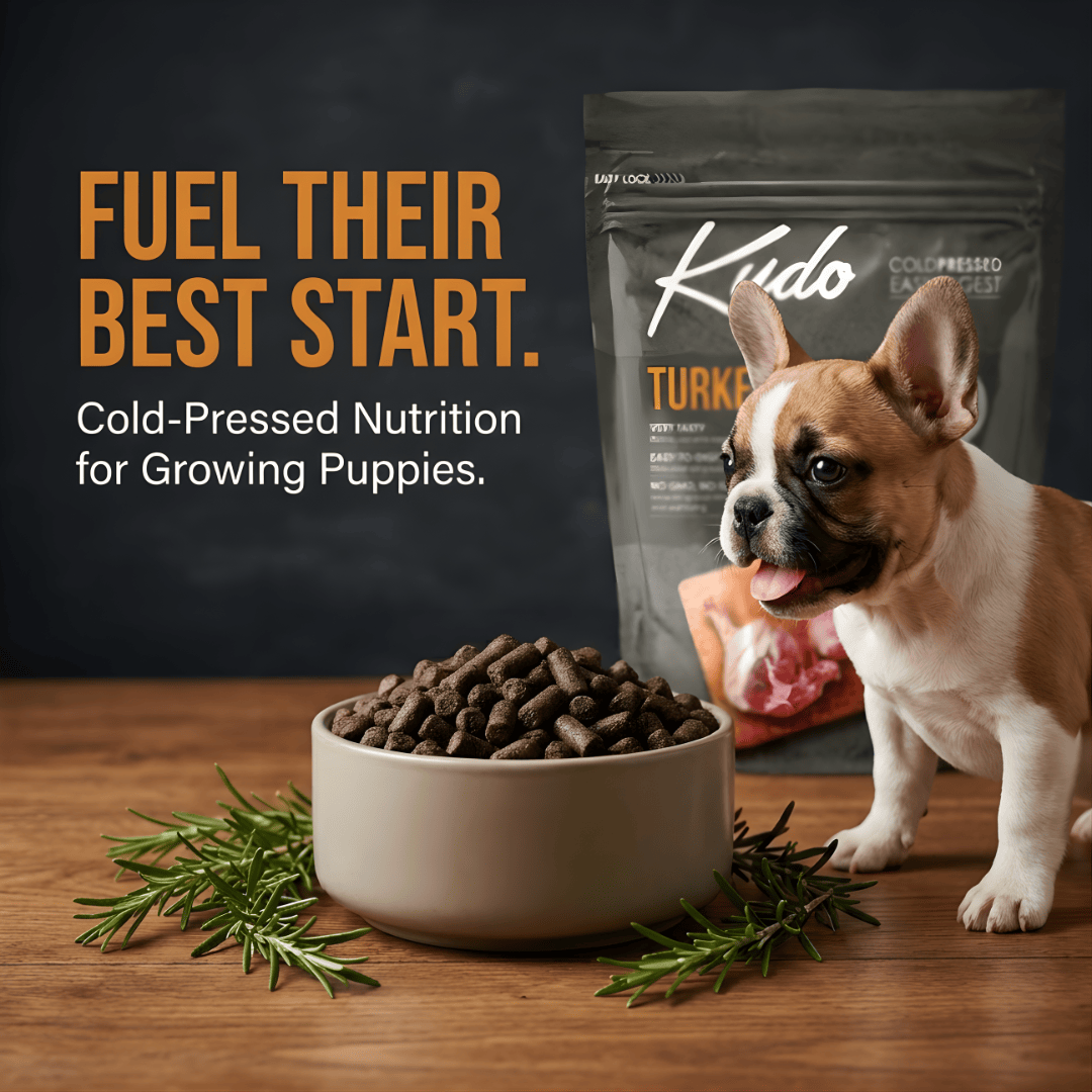 Kudo puppy food packaging with a bowl of cold pressed dog food and a puppy on a wooden surface.