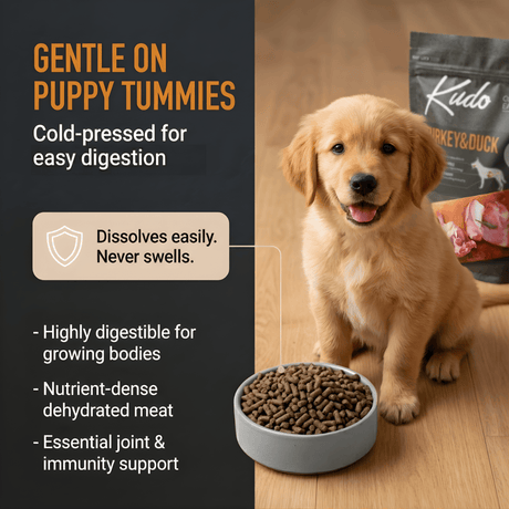 Puppy with a bowl of Kudo dog food packaging in the background