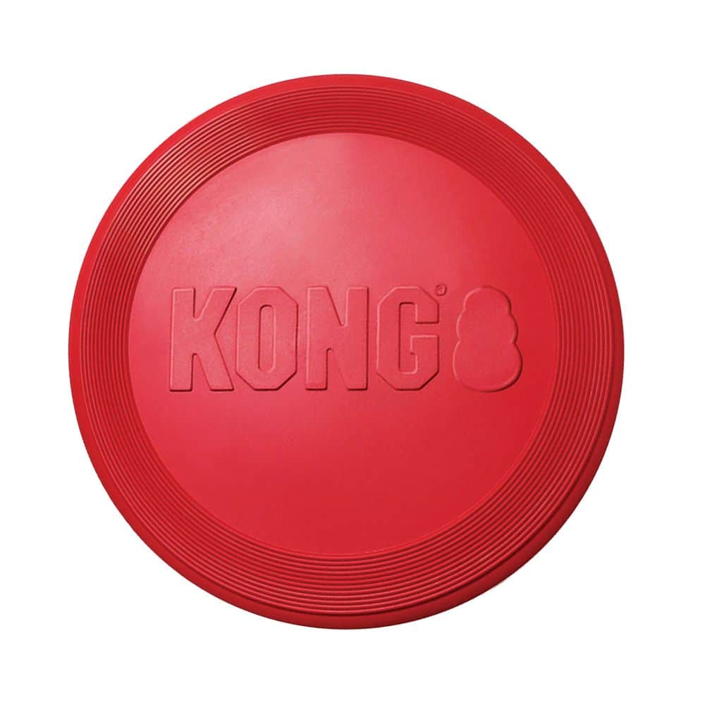 Kong Flyer Fetch Your Pet Needs