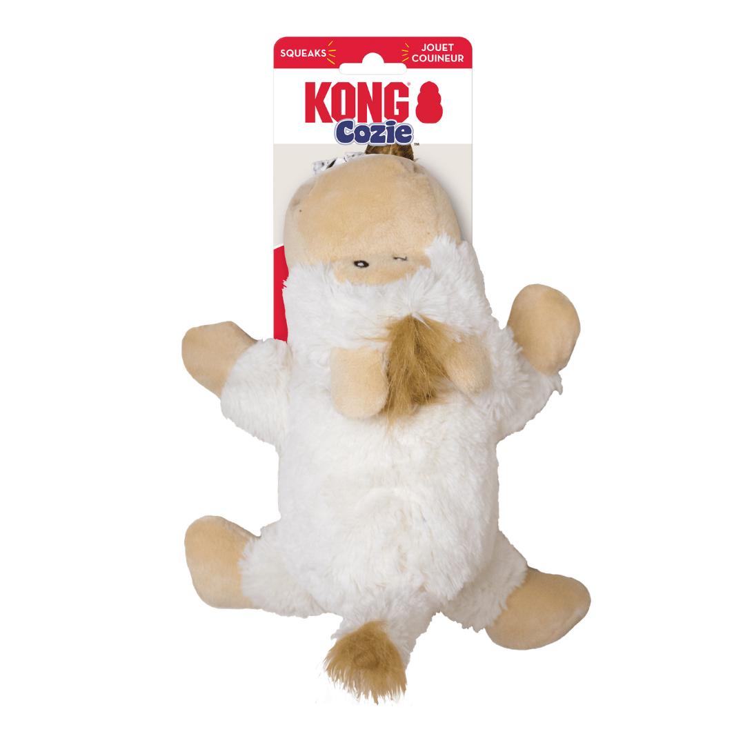 Kong Cozie dog toy with packaging on a white background