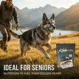 Man walking a dog with scenic mountains and lake in the background, Kudo Adriatic Fish pet food package displayed.