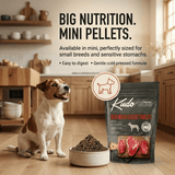 Dog sitting next to a bowl of Kudo dog food with text about the product's features.