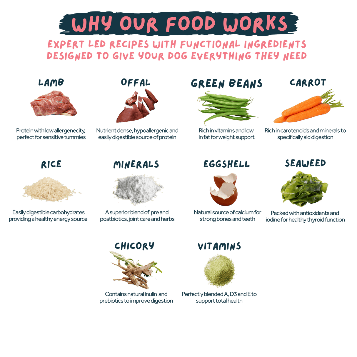 Wilsons Luscious Lamb Fresh Dog Food