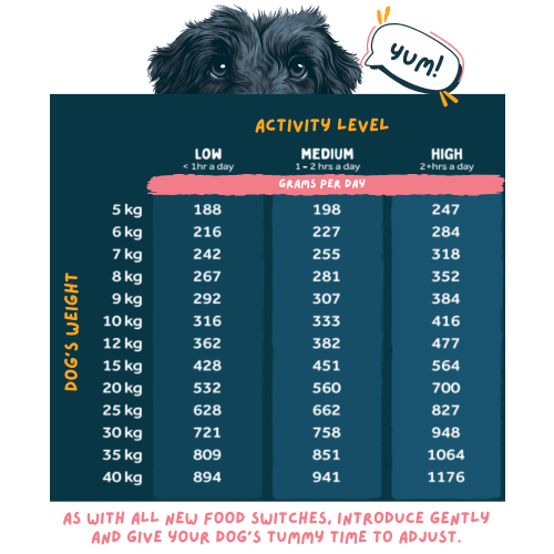 A dog weight activity level chart with a dark teal table showing grams per day for different dog weights, plus a cartoon dog head and speech bubble above it.