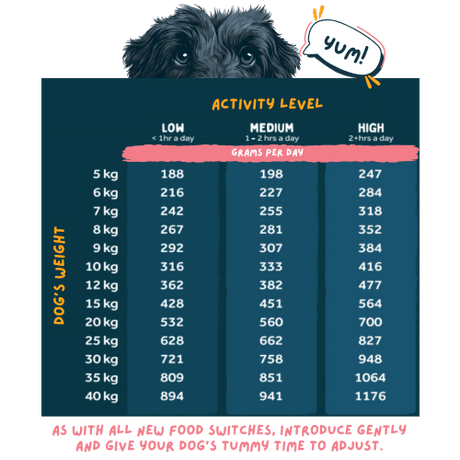A dog weight activity level chart with a dark teal table showing grams per day for different dog weights, plus a cartoon dog head and speech bubble above it.