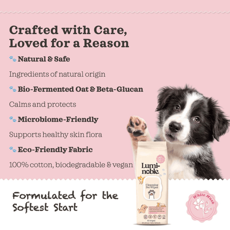 Dog with Luminoble wipes packaging on a pink background with text about product features.