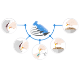 Multiway Vet Duocaps - Relief Max for Anxiety