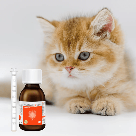 Multiway Vet Immuno 90ml