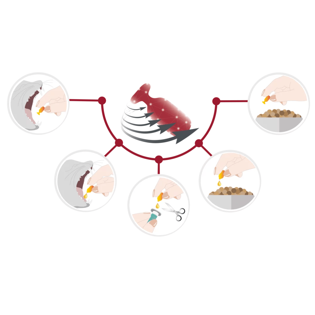 Multiway Vet Duocaps - Hepato Liver Health
