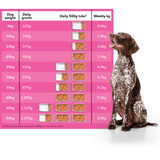 Naked Dog Raw Boneless Pork 1kg