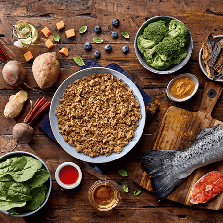 Assorted healthy foods including a bowl of Naturo Superfood Salmon Dog Food, vegetables, and fish on a wooden table.