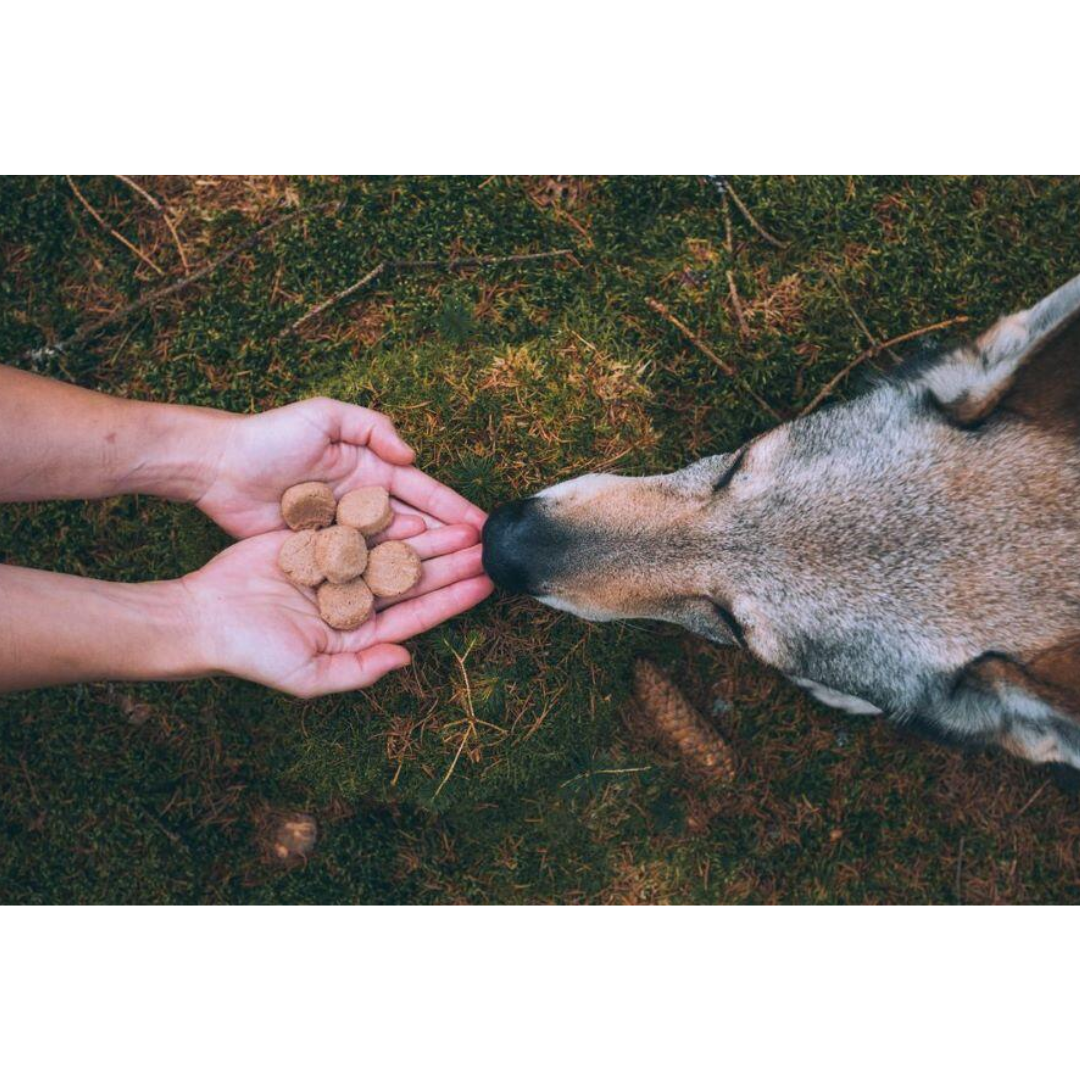 Carnilove Salmon & Turkey Freeze-Dried Raw Dog Treats
