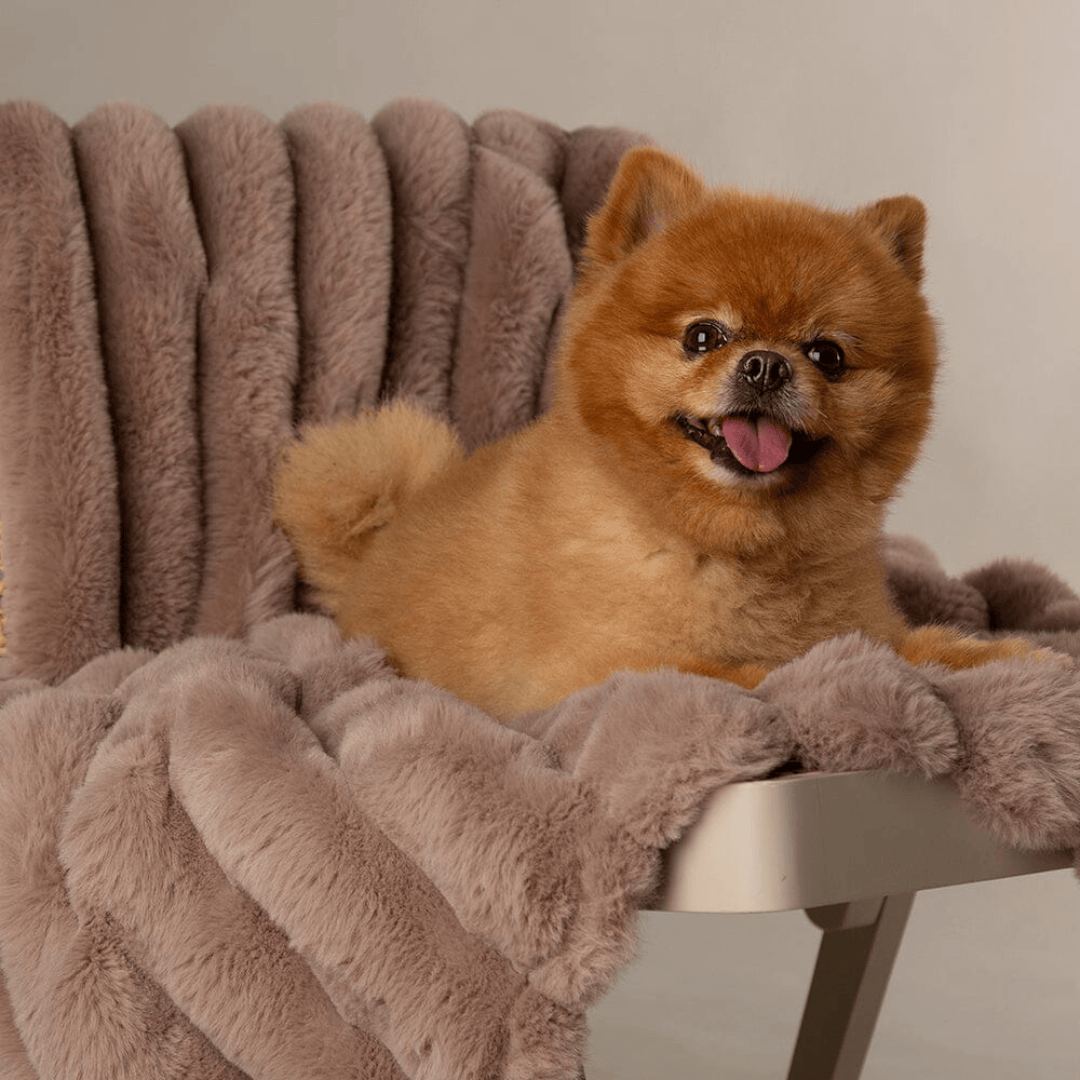 Scruffs Aspen Pet Blanket