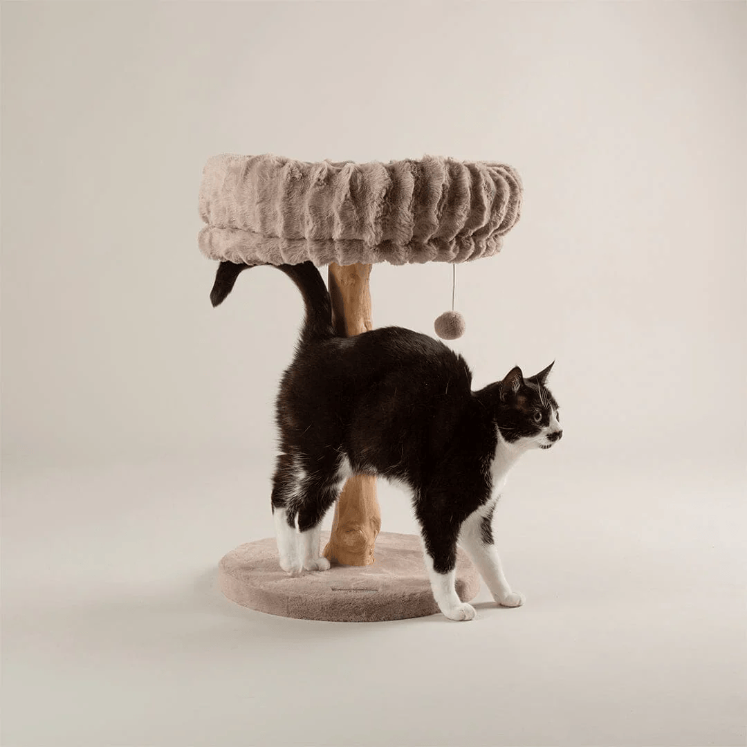 Scruffs Appalachians Cat Tree