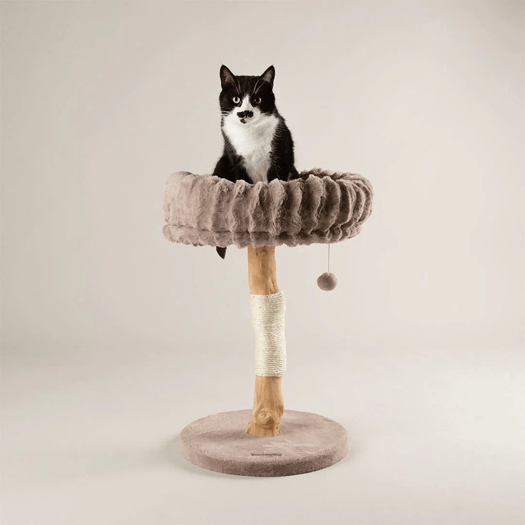 Scruffs Appalachians Cat Tree