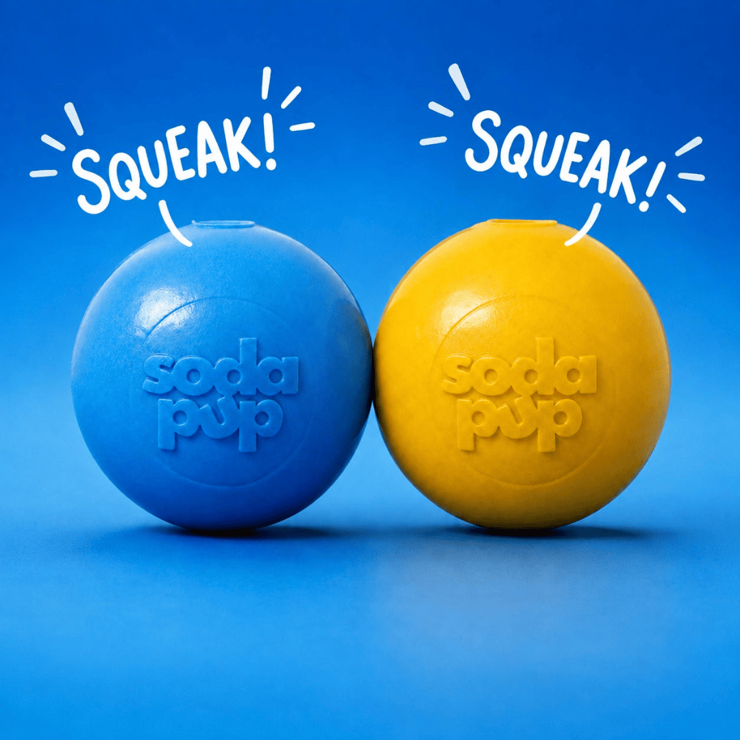 SodaPup Squeak Ball