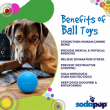 SodaPup Squeak Ball
