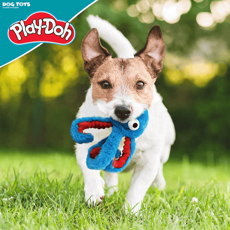 Play-Doh Crinkle Octopus 6.5" Dog Toy