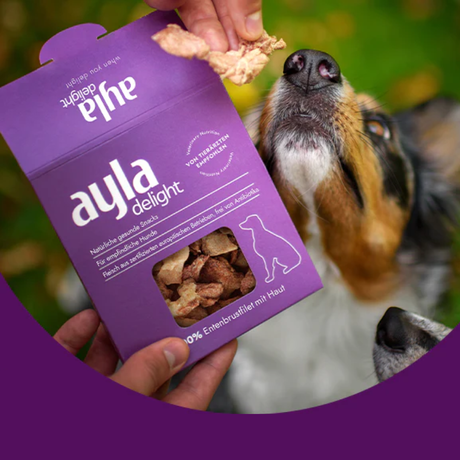 Ayla Delight Duck Breast with Skin Dog Treats