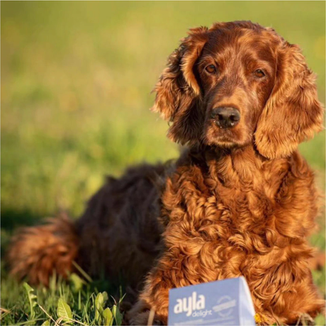 Ayla Delight Turkey Thigh Fillet Dog Treats