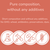 Ayla Delight Chicken Breast Fillets Cat Treats