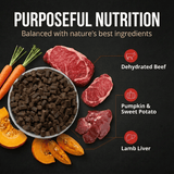 Dog food ingredients including dehydrated beef, pumpkin, sweet potato, and lamb liver on a black background with text 'Purposeful Nutrition'.