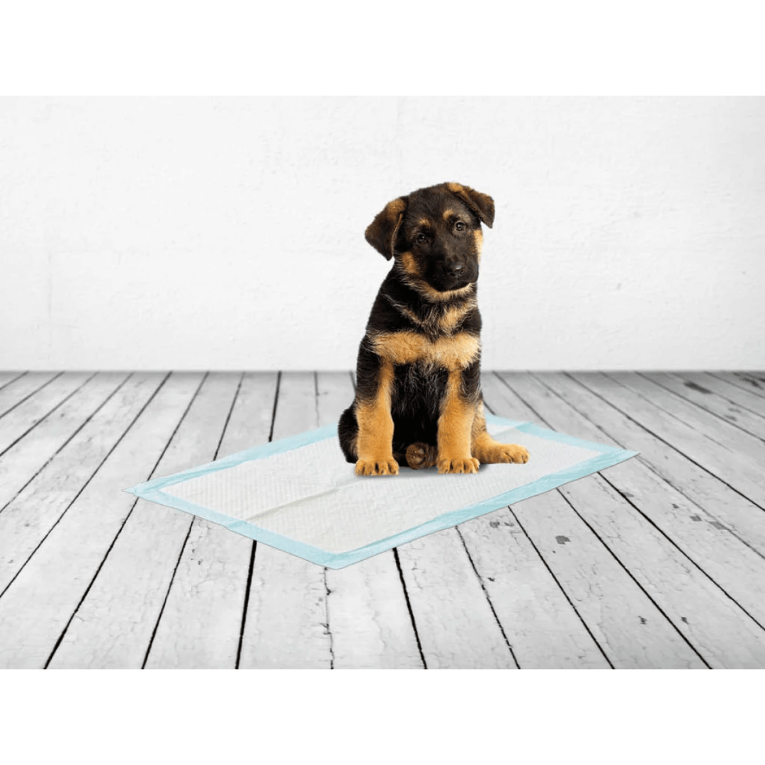 Savic Puppy Training Pads