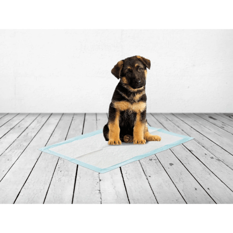 Savic Puppy Training Pads