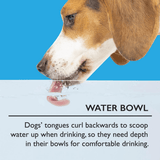 Dog drinking water with text about water bowl depth requirements on a blue and white background