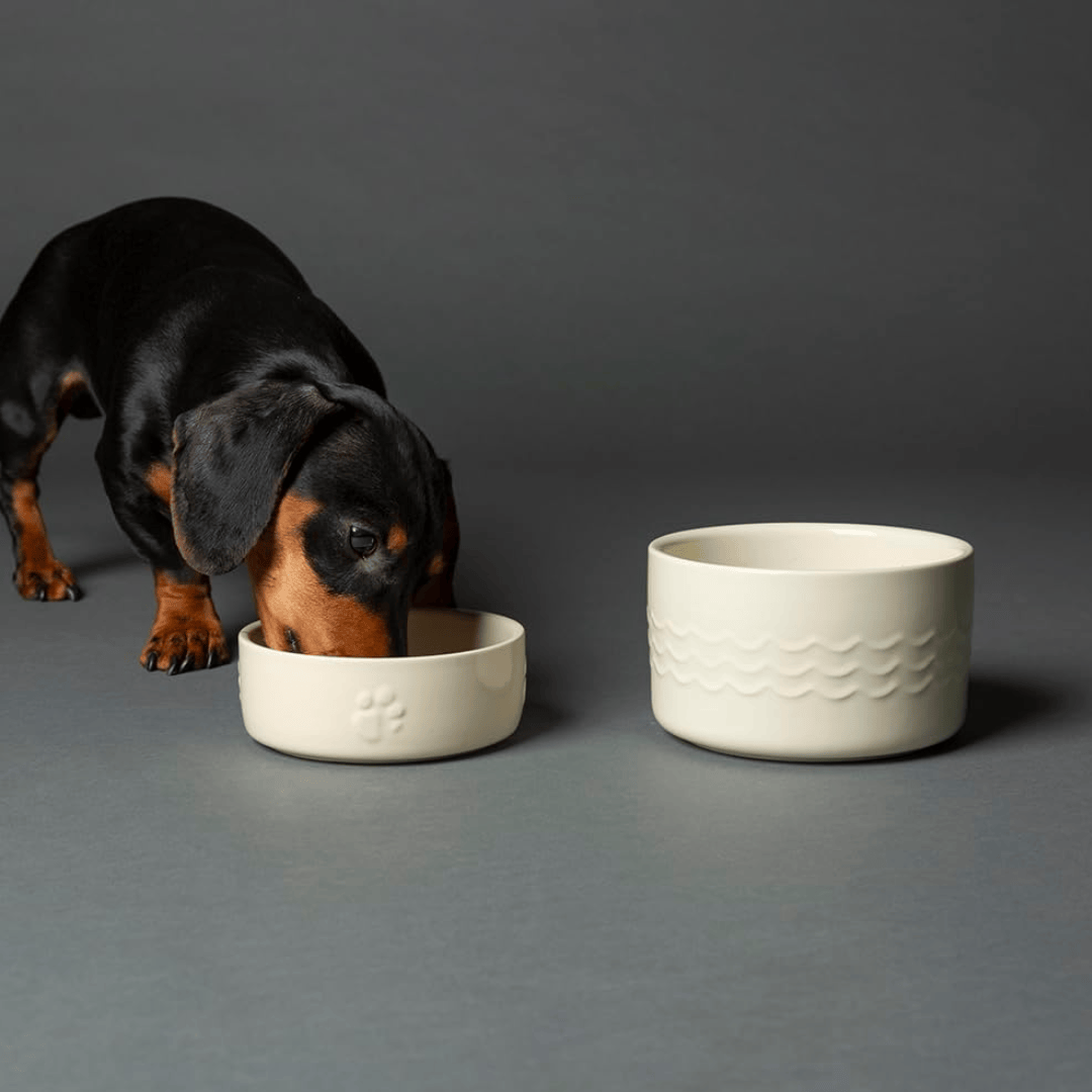 Dog eating from a white ceramic bowl on a gray background, beside it is the Scruffs Icon Cream Water Bowl 15cm